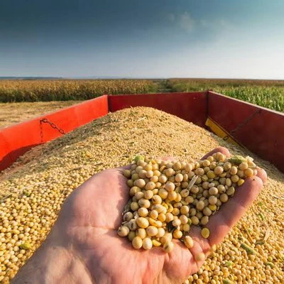 Agriculture