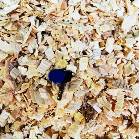Biomass